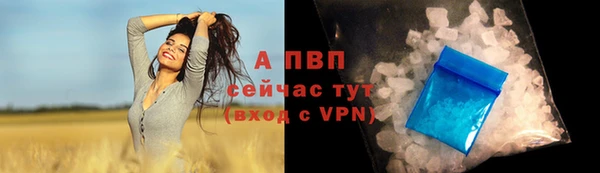сатива Алзамай