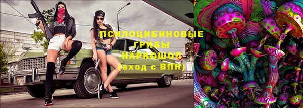 сатива Алзамай