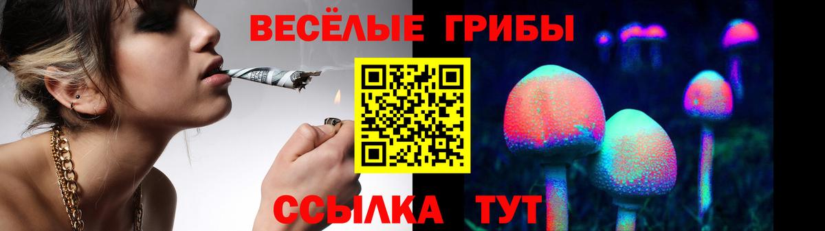 Псилоцибиновые грибы Psilocybine cubensis  Вход с VPN  Тобольск  Галлюциногенные грибы Cubensis 
