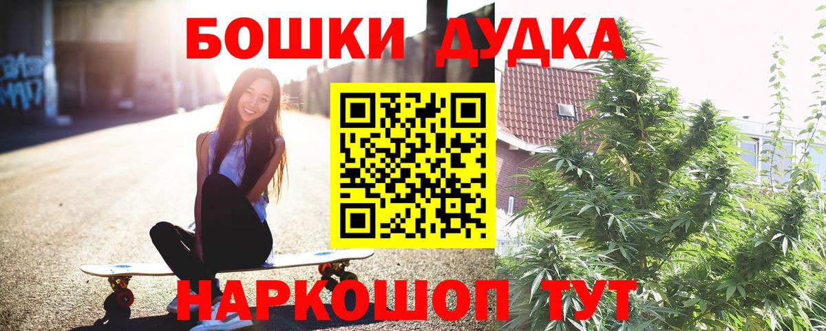 Конопля сатива Тобольск
